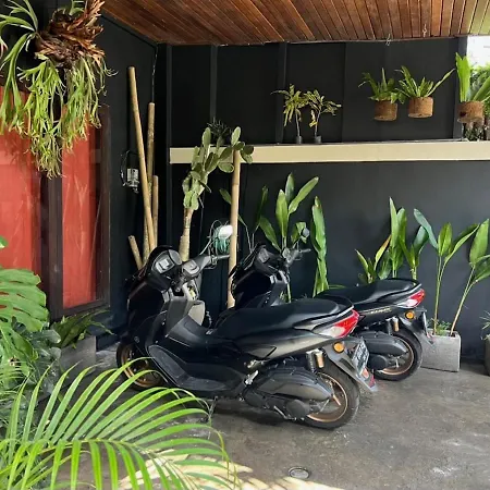 Tranquil Traveller- Bali Villa
